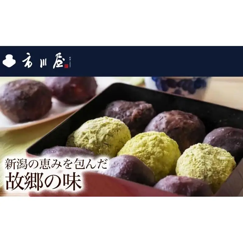 餅 のし餅１枚、草餅１枚、小倉あん１袋、こしあん１袋のセット 新潟県 新潟市