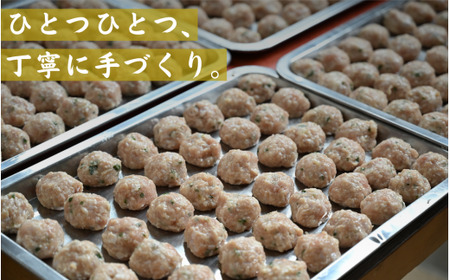 焼鳥屋さんの鶏つくね餃子　10個入り　3パック　［A-084002］