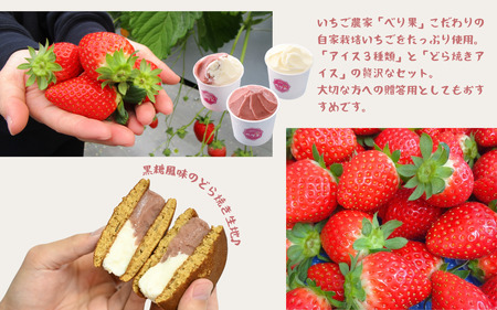自家製カップアイス3種＋どら焼きアイスセット[B-045002 ] 