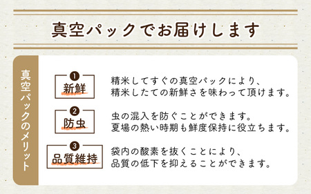令和7年産 特別栽培米 コシヒカリ匠 12kg（2kg×6袋） 節減対象農薬当地比5割減【玄米】お米 コシヒカリ [E-2920_02]
