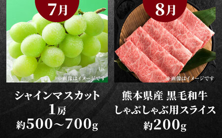 先行予約4回定期便 合志市肉と果物スタンダード定期便 シャインマスカット馬刺しAYZZ010