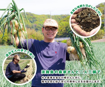 【予約販売】海月館 自社農場栽培！淡路島産 新玉ねぎ 3kg
