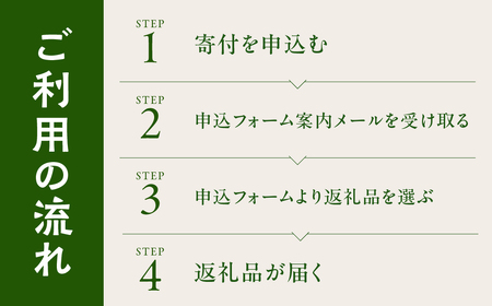 ＼あとから選べる ／花・観葉植物カタログ 4万5千円分 オンライン 有効期限なし 後から選べる 植物 グリーン 花 お花 胡蝶蘭 オンラインカタログ 後から 体験 チケット インテリア 愛知県 豊橋市