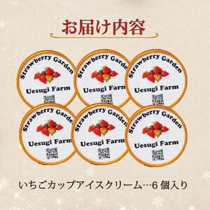 いちご農家のひんやりアイス カップアイス6カップ いちご 苺 イチゴ いちごアイスクリーム アイス アイスクリーム カップアイス 冷たい ひんやり セット 人気 おすすめ ふるさと納税 京都 八幡 八幡市 上杉農園