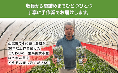 ほうれん草！どっさり 5kg 【栽培30年以上の山下さんの新鮮採れたてほうれん草】　SMCX001 