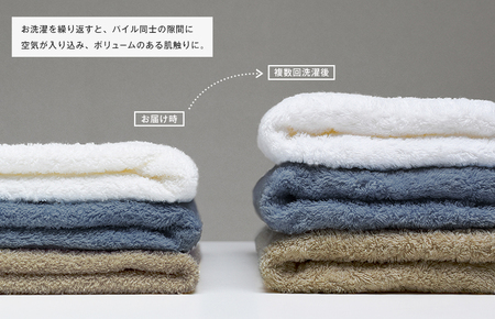 ファミーユ フェイスタオル10枚セット チャコール