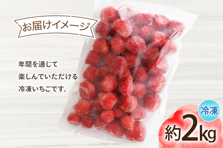 いちご 冷凍 あまおう 約2kg いちご [um40bfw220008]