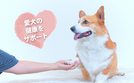 【ドッグフード】シカ背骨ジャーキー 4本（2本×2パック）