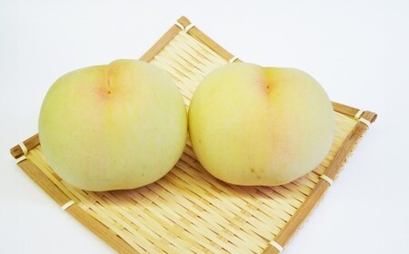 【訳アリ家庭用】岡山白桃 3.6kg〈もっとも旬な品種の桃をお届け〉【2026年6月下旬～9月下旬 発送予定】【もも 果物 フルーツ 国産 人気 おすすめ 岡山県 倉敷市】