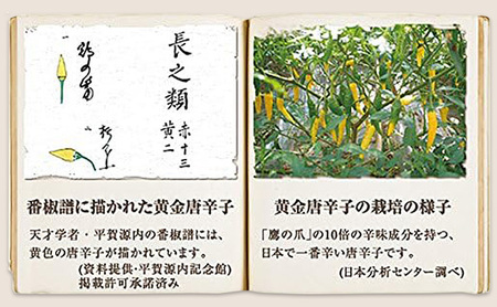 祇園味幸 京都 黄金一味 13g(瓶) 日本一辛い (国内旅行 日本 お土産）