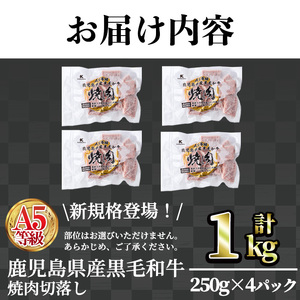 A5等級鹿児島県産黒毛和牛焼肉切落し(計1kg・250g×4パック) 切り落とし 焼肉 黒毛和牛【LRプラスK】A1005