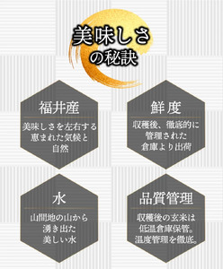【定期便6回】コシヒカリ  2kg（1kg×2）令和7年産 [095-t06-a201]