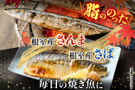 【北海道根室産】さんま・さば・唐揚げ用たこ・たこ刺身セット A-19014