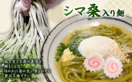 大人気 ！ 天猿 の 冷凍 うどん 通常麺 ＋ シマ桑入り麺 計4玉 C075-001-03 麺 麺類