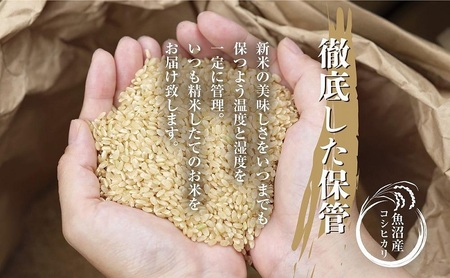 ｜無洗米｜ 魚沼産 コシヒカリ 5kg ×4袋 計20kg