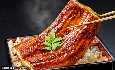 こだわりの柔らかうなぎ蒲焼【特上ハーフ】２枚 - やわらか ふわとろ 湯煎 簡単 老舗の味 うなぎ 2枚 蒲焼き 特上 秘伝 タレ おすすめ 白米 相性 抜群 とろける 柔らかさ オススメ 埼玉県 幸手市
