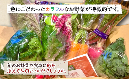 旬の野菜セット 10品 野菜 野菜セット 野菜詰め合わせ 詰め合わせ やさい 千葉市 千葉県