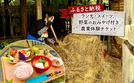 タンジョウ農場 農場体験 ペアチケット 体験 農業体験 チケット ランチ スイーツ 野菜のおみやげ付 千葉市 千葉県