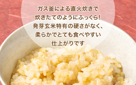 発芽玄米パックごはん(150g×12個×3箱　計36個) 発芽玄米