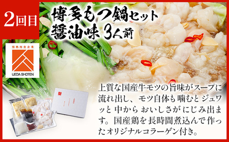 「上田商店」おすすめ定期便 【隔月定期便（年3回発送）】 水炊き もつ鍋 モツ鍋 セット ありた鶏 ぶつ切り ぶつ切 醤油 しょうゆ 味噌 みそ ちゃんぽん 博多 専門店 2人前 3人前 福岡県 福岡 九州 グルメ お取り寄せ