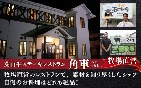 【全3回定期便】葉山牛 少量3種食べ比べセット 牛肉(ロース・ローススライス・サーロインステーキ)[ASBD024]