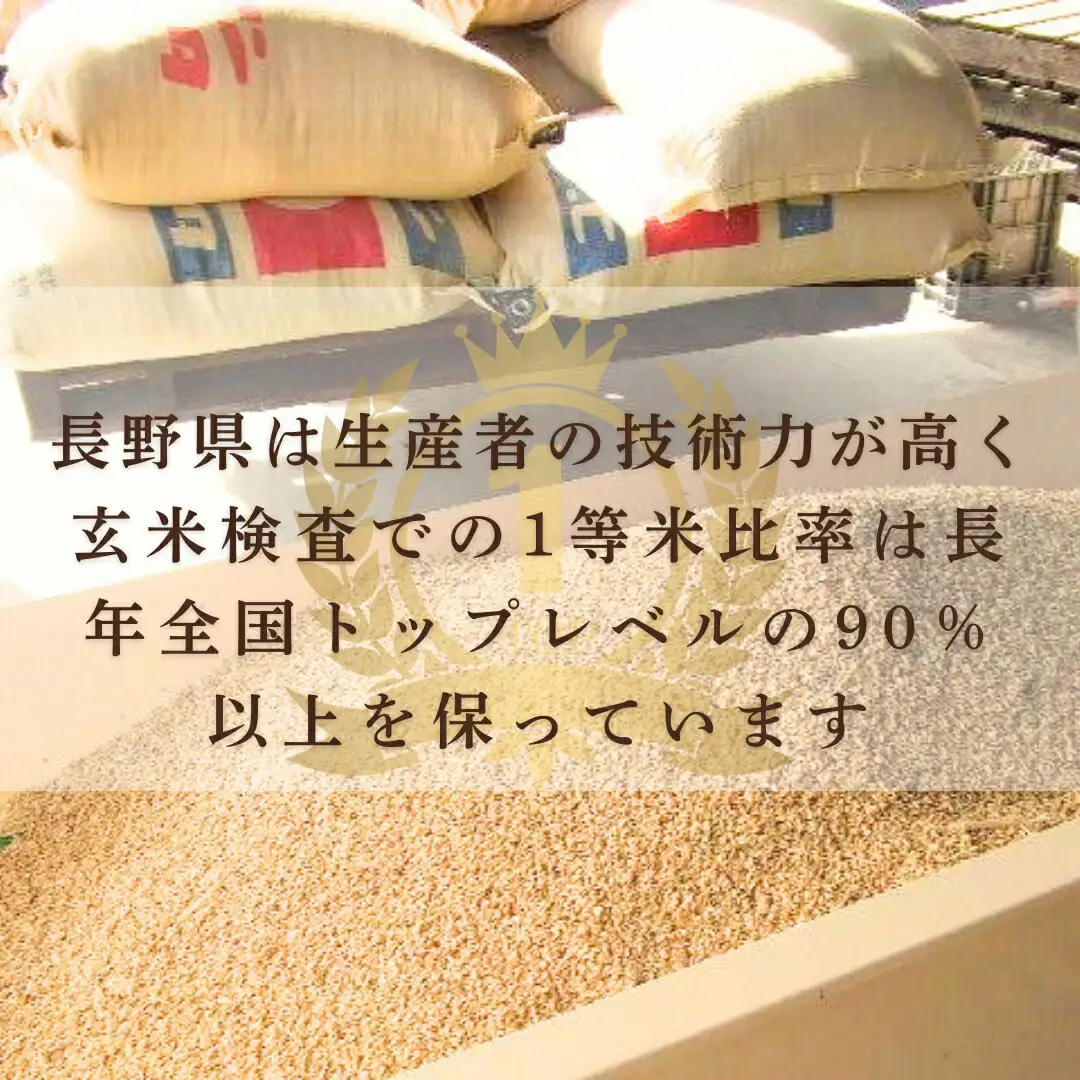 コシヒカリ 精米 30kg 令和7年産｜ コシヒカリ 千曲市 長野県 信州