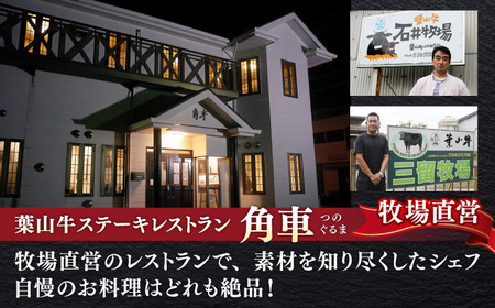【全6回定期便】【葉山牛】1.2kg　スライス盛合せ ／ 牛肉 黒毛和牛 神奈川県 特産品【葉山牛ステーキレストラン 角車】[ASBD048]