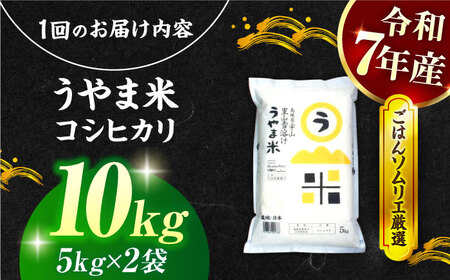 【3回定期便】島根県産「うやま米 コシヒカリ（雲南市吉田町）」10kg（5kg×2） 島根県松江市/有限会社藤本米穀店[ALCG061]