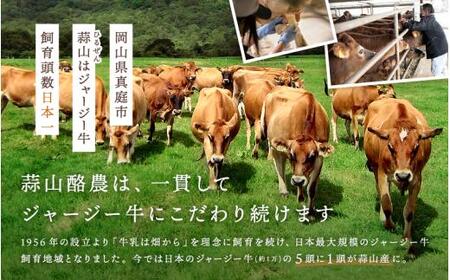 ひるぜんジャージーヨーグルト 10個 ヨーグルト 蒜山 岡山【hiru024-03】