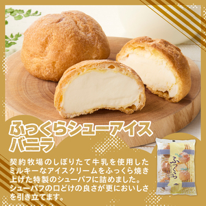 【シャトレーゼ】まんぷく！お子様が喜ぶアイスバラエティセット　アイスクリーム 詰め合わせ [h028]