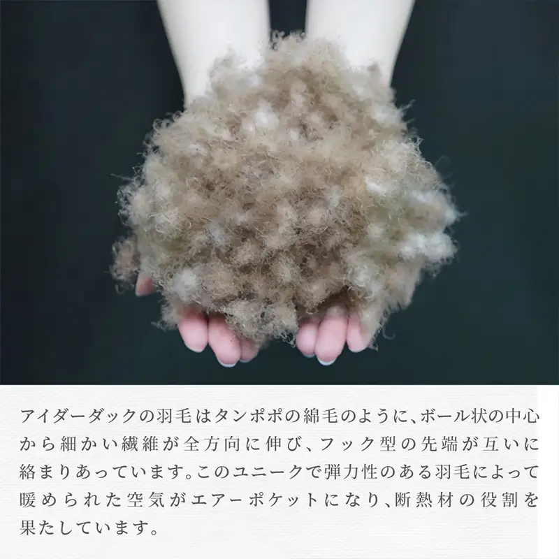 【備長炭入り】羽毛の王様アイダーダウン入り羽毛布団［シングル150×210cm］シルクの掛カバー付き FY25-362