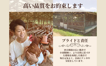 種子島 夢まるガーデン 若鶏  約1,8kg （ 精肉 用 ）　NFN635 【675pt】