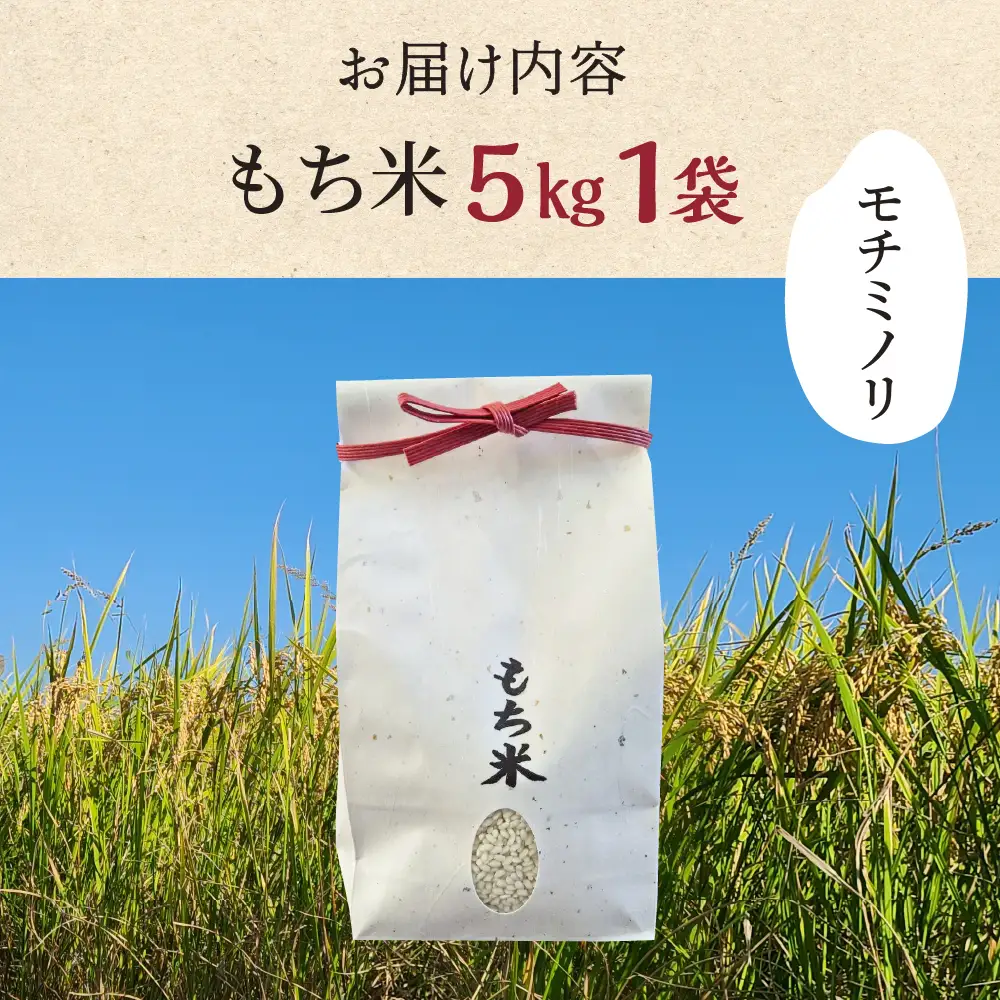 ≪令和7年度産≫もち米 モチミノリ 5kg｜もち米