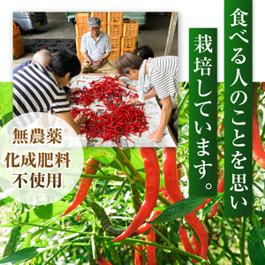 信州の伝統野菜選定 フレッシュな香りと旨味のある辛味 「十久保南蛮」の一味唐辛子 1瓶
