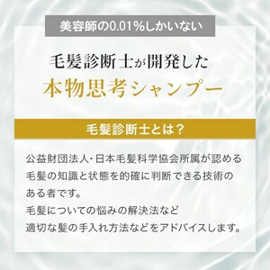スプレヴォリ・ヴェルモア クレンジング 1000ml｜リペア ヘアケア ダメージケア シャンプー [3188]