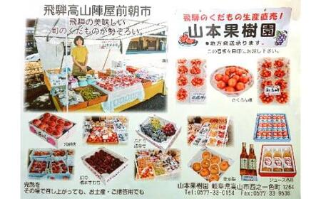 飛騨高山のリンゴジュース 1リットル×3本 | ストレートジュース 果汁100％ 高山産 完熟 サンふじ りんご 林檎 さっぱり 人気 飛騨高山 山本果樹園 MA006