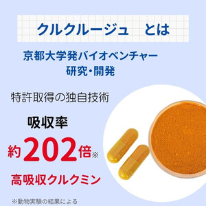 高吸収型クルクミン　クルクルージュ62粒入り2本