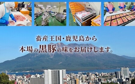 鹿児島県産 黒豚 肩ロース しゃぶしゃぶ 800g 黒豚 豚肉 豚バラ 肉 お肉 AS-368