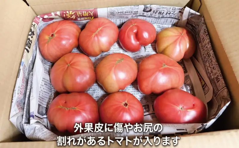 訳あり ハウス桃太郎トマト6kg  トマト TOMATO 野菜