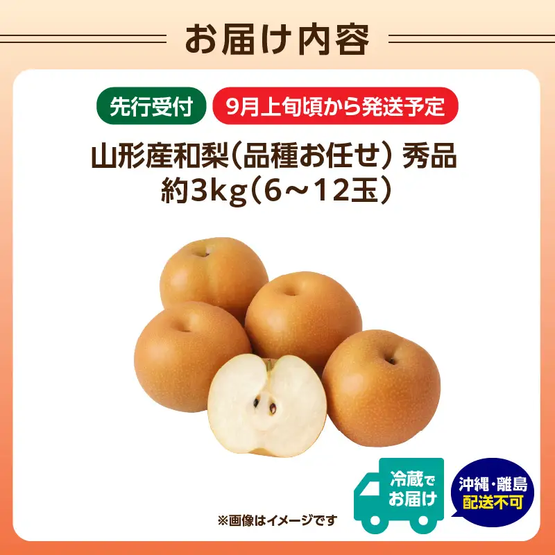 《先行受付》★山形産和梨（品種お任せ）★約3kg(6～12玉程度)秀品【2026年9月頃～順次発送予定】 063-015
