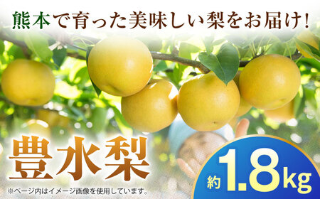 【先行予約】豊水梨　約1.8kg 梨 ナシ フルーツ 果物 【日本フルーツ株式会社】[ZFJ059]