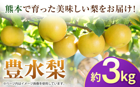 【先行予約】豊水梨　約3kg 梨 ナシ フルーツ 果物 【日本フルーツ株式会社】[ZFJ060]