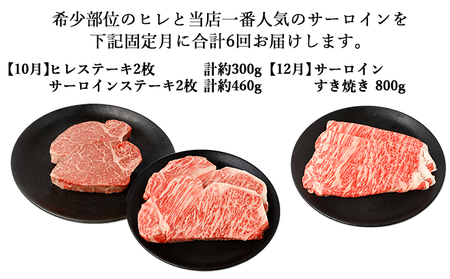 【年6回偶数月発送】伊賀牛 A5ヒレ・サーロイン 定期便B 総合計約4.7kg【dido-tkb0026】