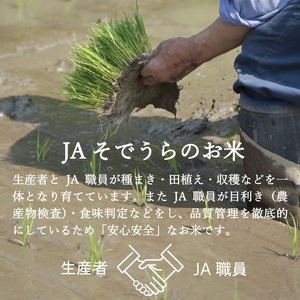 SE0584　【3回定期便】［精米］ひとめぼれ　5kg×3回(計15kg) JS