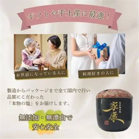 炭二郎の塩　家康【1693463】