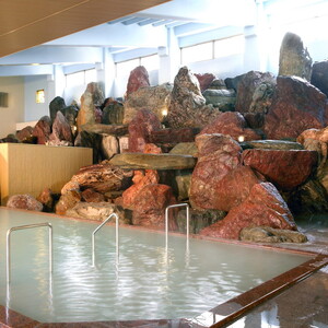 観光経済新聞主催「にっぽんの温泉100選」　北陸富山　金太郎温泉館内利用券1,000円×8枚 ※北海道・沖縄・離島への配送不可