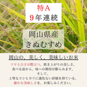 米 令和7年産 米 3kg×1袋 きぬむすめ 特A