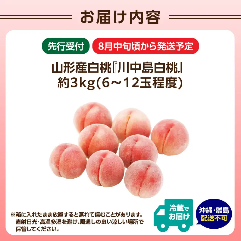 《先行受付》★山形産白桃『川中島白桃』★約3kg(6～12玉程度)秀品【2026年8月中旬頃～順次発送予定】 063-017