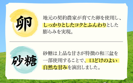 竹内菓子舗 竹内菓子舗 4代目と喧嘩しても作りたかった5代目の米粉カステラ 10個入り [A-203004] / カステラ かすてら 菓子 和菓子 銘菓 個包装 ギフト プレゼント 上質 しっとり 優しい 北陸 個包装 内祝い 誕生日 贈り物 お土産