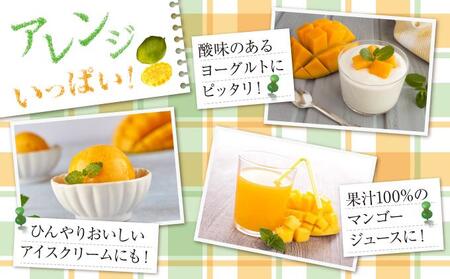 (先行受付)【2026年発送】キーツマンゴー 南城市 約1.5kg (1～2玉)